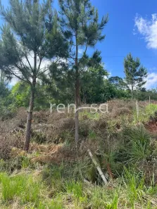 Lote/Terreno à venda, 394m² no Monte Bérico, Caxias do Sul