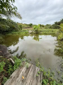Fazenda/Sítio com 3 Quartos à venda, 80000m² no , Flexeiras