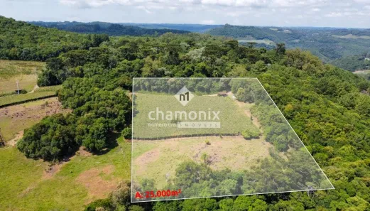 Imóvel Comercial à venda, 25000m² no Caxias do Sul, Caxias do Sul