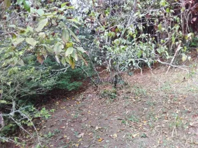 Lote/Terreno à venda, 919m² no Roseira, Mairiporã