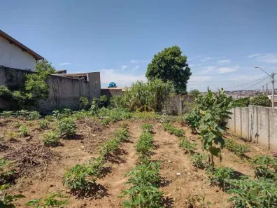 Lote/Terreno à venda, 450m² no Jardim São Judas Tadeu, Campinas