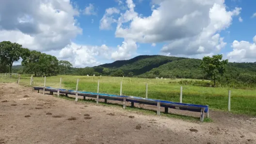 Fazenda/Sítio à venda, 136m² no , Crixás