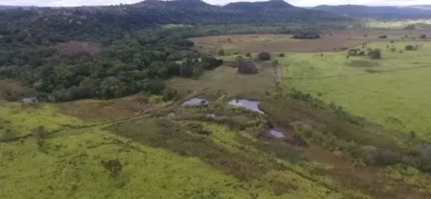 Fazenda/Sítio à venda, 300000m² no Centro, Naviraí