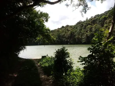 Fazenda/Sítio com 1 Quarto à venda, 12000m² no Serra do Cafezal, Miracatu