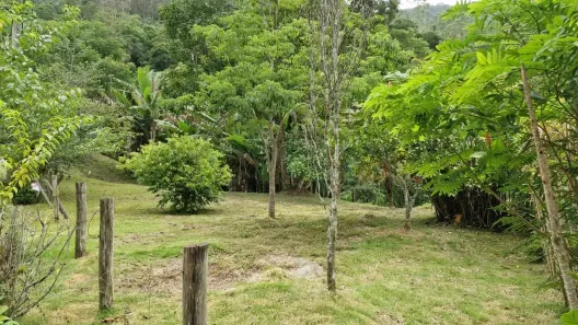 Lote/Terreno à venda, 1360m² no Ponte da Saudade, Nova Friburgo