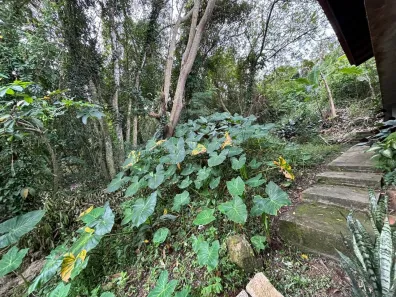 Lote/Terreno à venda, 2475m² no Lagoa da Conceição, Florianópolis