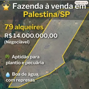 Fazenda/Sítio com 4 Quartos à venda, 77440m² no Centro, Palestina