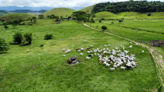 Fazenda/Sítio com 3 Quartos à venda, 1306800m² no Silva Jardim, Silva Jardim