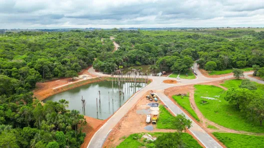 Fazenda/Sítio à venda, 1200m² no Setor Central, Aragoiânia