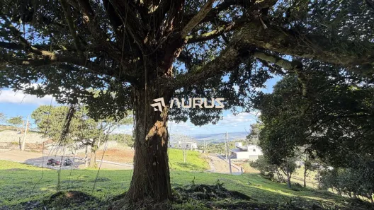 Lote/Terreno à venda, 614m² no , Bezerros