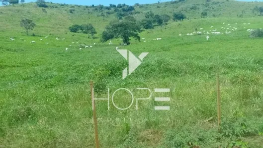Fazenda/Sítio com 1 Quarto à venda, 8591000m² no Nova Tebas, Nova Tebas