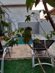 Casa de Condomínio com 3 Quartos à venda, 150m² no Portal da Mata, Ribeirão Preto