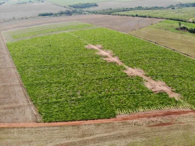à venda, 20000m² no , Iguaraçu