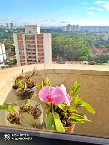 Apartamento com 2 Quartos à venda, 50m² no Chácara Santo Antônio (Zona Sul), São Paulo