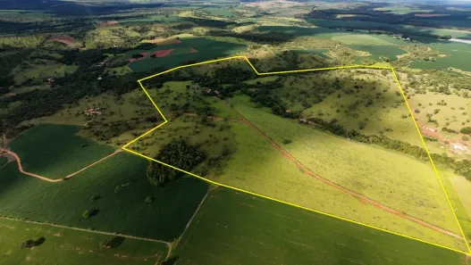 Fazenda/Sítio com 4 Quartos à venda, 677000m² no Setor Central, Catalão