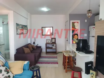 Apartamento com 3 Quartos à venda, 66m² no Vila Nivi, São Paulo