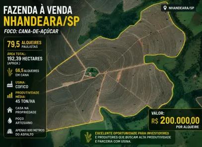 Fazenda/Sítio com 3 Quartos à venda, 1981200m² no Centro, Nhandeara