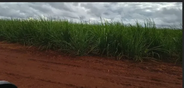 Fazenda/Sítio com 1 Quarto à venda, 387200m² no Área Rural de Batatais, Batatais