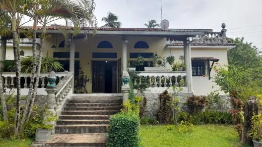 Fazenda/Sítio com 6 Quartos à venda, 5000m² no Nova Cruz, Igarassu