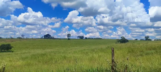 Fazenda/Sítio à venda, 1500000m² no , Cafezal do Sul