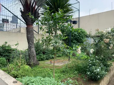 Apartamento com 3 Quartos à venda, 58m² no Vila Mazzei, São Paulo