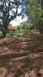 Fazenda/Sítio com 3 Quartos à venda, 96800m² no , Cajuru