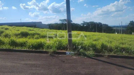 Lote/Terreno à venda, 1000m² no Loteamento Jardim Vista Alegre, São Carlos