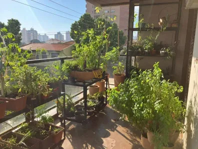 Apartamento com 3 Quartos à venda, 230m² no Centro, Piracicaba