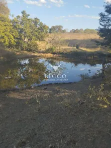 Fazenda/Sítio com 2 Quartos à venda, 20m² no Centro, Arenópolis