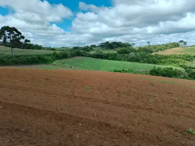 Fazenda/Sítio à venda, 96800m² no Colônia Murici, São José dos Pinhais