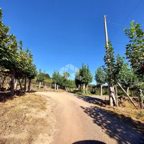 Fazenda/Sítio à venda, 2500m² no , Garibaldi