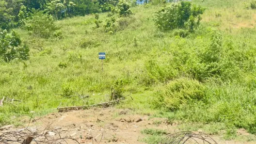 Lote/Terreno à venda, 12380m² no Jardim Botânico, Cariacica