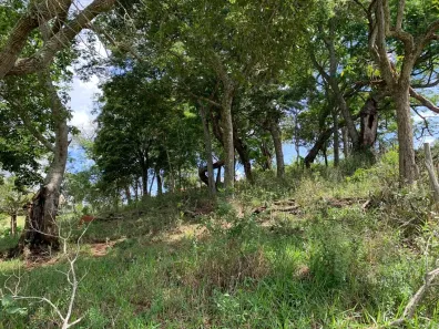 Fazenda/Sítio à venda, 1m² no , São Lourenço