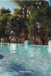 Apartamento com 2 Quartos à venda, 46m² no , Tamandaré