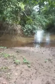 Fazenda/Sítio à venda no Juscelândia, Goianésia