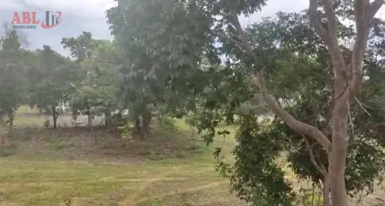Fazenda/Sítio à venda, 30250000m² no , Chapada Gaúcha