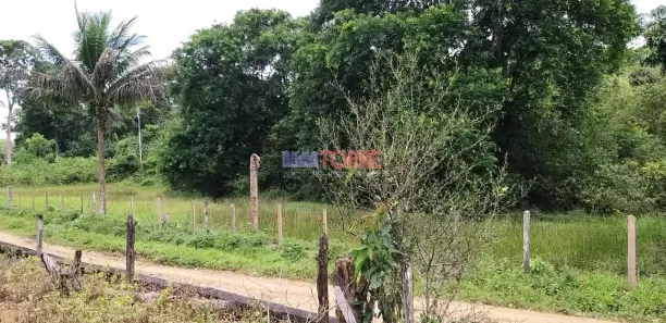 Fazenda/Sítio com 4 Quartos à venda, 10m² no , Itajuípe