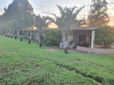 Fazenda/Sítio com 2 Quartos à venda, 10m² no , Miguelópolis