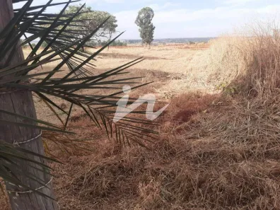 Lote/Terreno à venda, 5000m² no Morada da Colina, Uberlândia