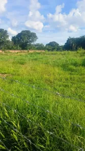 Lote/Terreno à venda, 1300m² no Residencial Bica do DER, Brasília