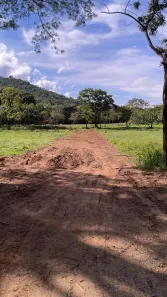 Lote/Terreno à venda, 5000m² no Centro, Florestal