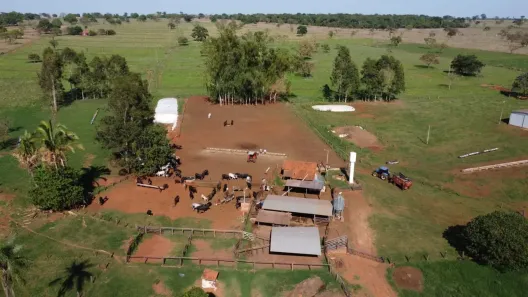 Fazenda/Sítio à venda, 318000m² no Centro, Araçatuba