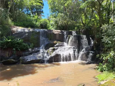 Fazenda/Sítio com 3 Quartos à venda, 36600m² no Salto de Baixo, Extrema