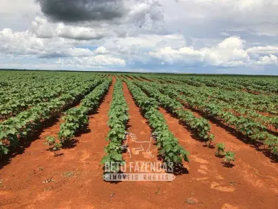 Fazenda/Sítio à venda, 460000000m² no , Alto Boa Vista