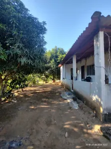 Fazenda/Sítio com 3 Quartos à venda, 10000m² no Centro, Domingos Martins