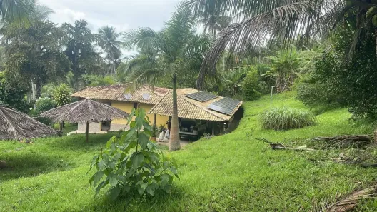 Fazenda/Sítio à venda, 32000m² no , Conde