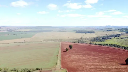 Fazenda/Sítio com 1 Quarto à venda, 100m² no Novo Centro, Taquarituba
