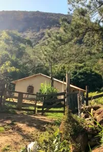 Fazenda/Sítio com 3 Quartos à venda, 314600m² no , Trajano de Moraes