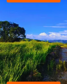 Lote/Terreno à venda, 500m² no Usina, Atibaia
