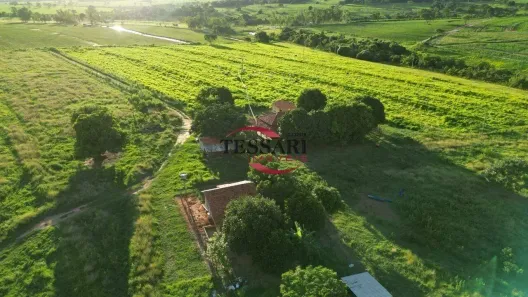 Fazenda/Sítio com 4 Quartos à venda, 266200m² no Centro, José Bonifácio